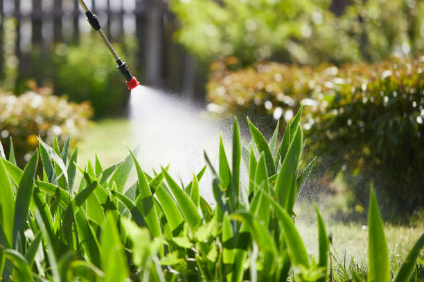 24/7 Emergency Wasp Removal experts in Crawfordsville, IN