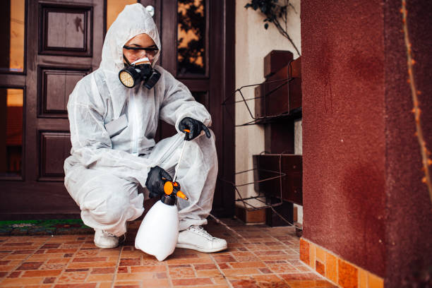 Reliable Wasp Removal contractor in Crawfordsville, IN by Show Me Pest Control
